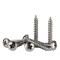 #10 SS Self Tapping Screw PAN Head catalog image