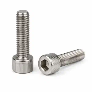 M12 SS Allen Socket Head Screw