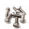M2.5 Pan Head Screw catalog image