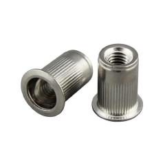M3 Revit/Insert Nut - 25 Nos product image
