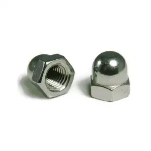 SS Dome Nut