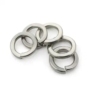 SS Spring Washer