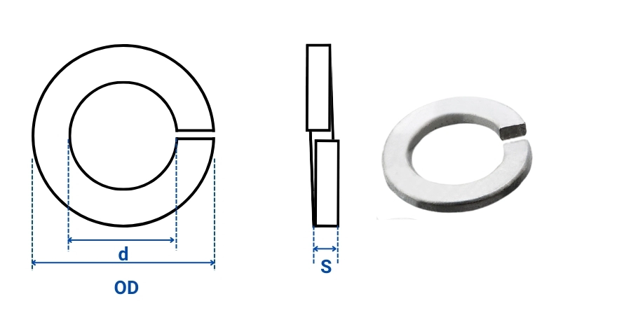 Stainless Steel Spring Washers
