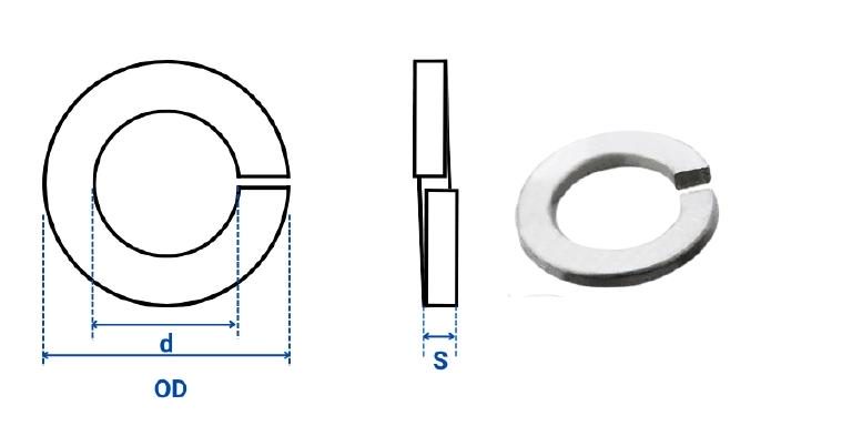 Dimension of SS Spring Washer