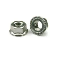 M10 Flange Nut (High Tensile) - 25 Pcs